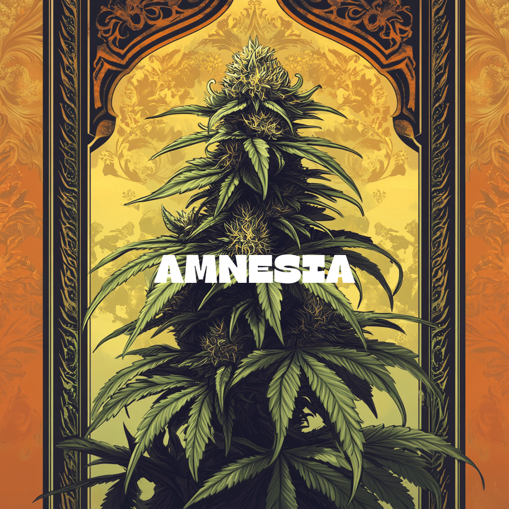 Amnesia Femi Samen