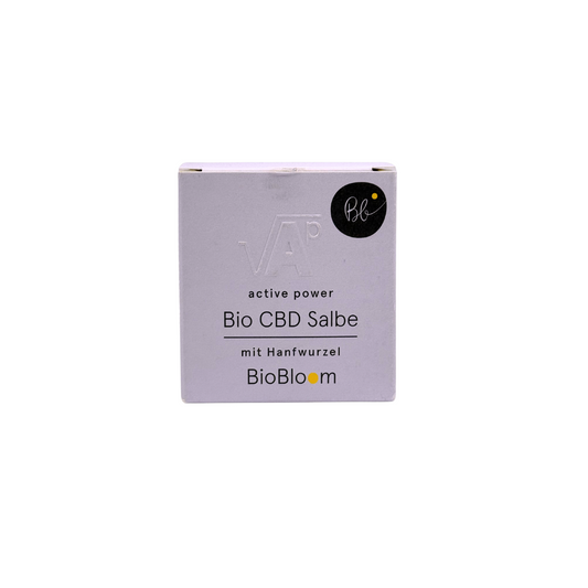 SCHMERZ SALBE 600MG BIOBLOOM