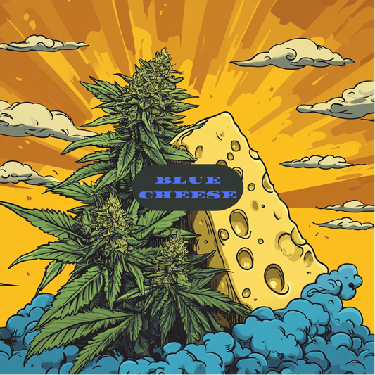 Blue Cheese Samen