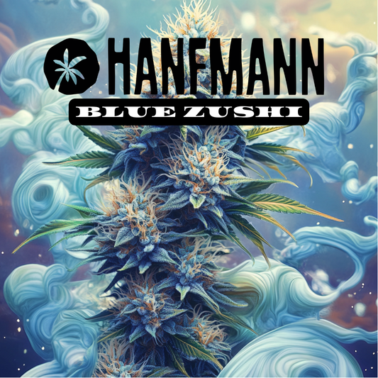 Blue Zushi Samen