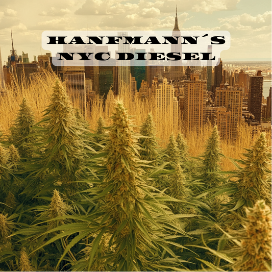 NYC Diesel Samen