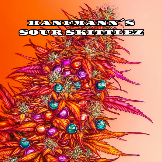 Sour Skittlez Samen