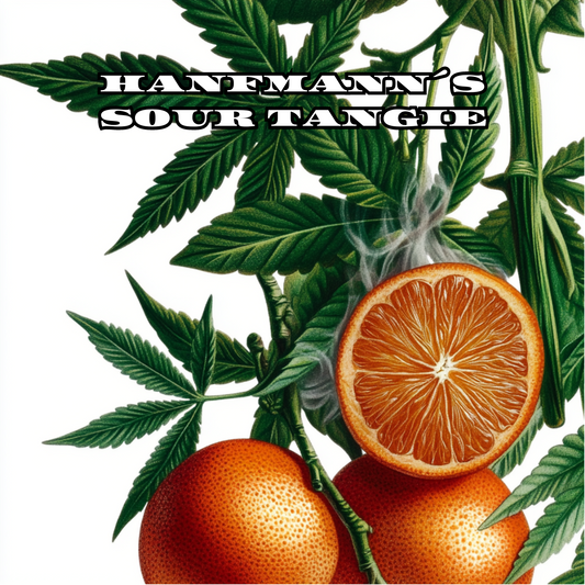 Sour Tangie Samen