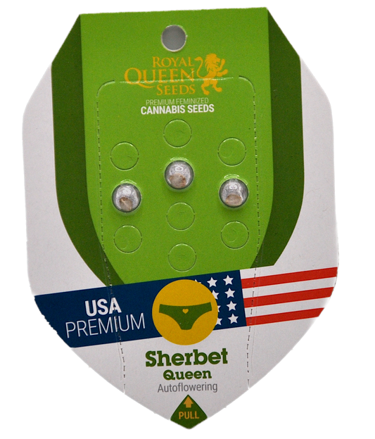 SHERBET QUEEN AUTO RQS